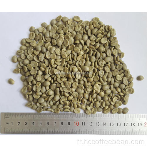 grains de café vert d&#39;origine yunnan